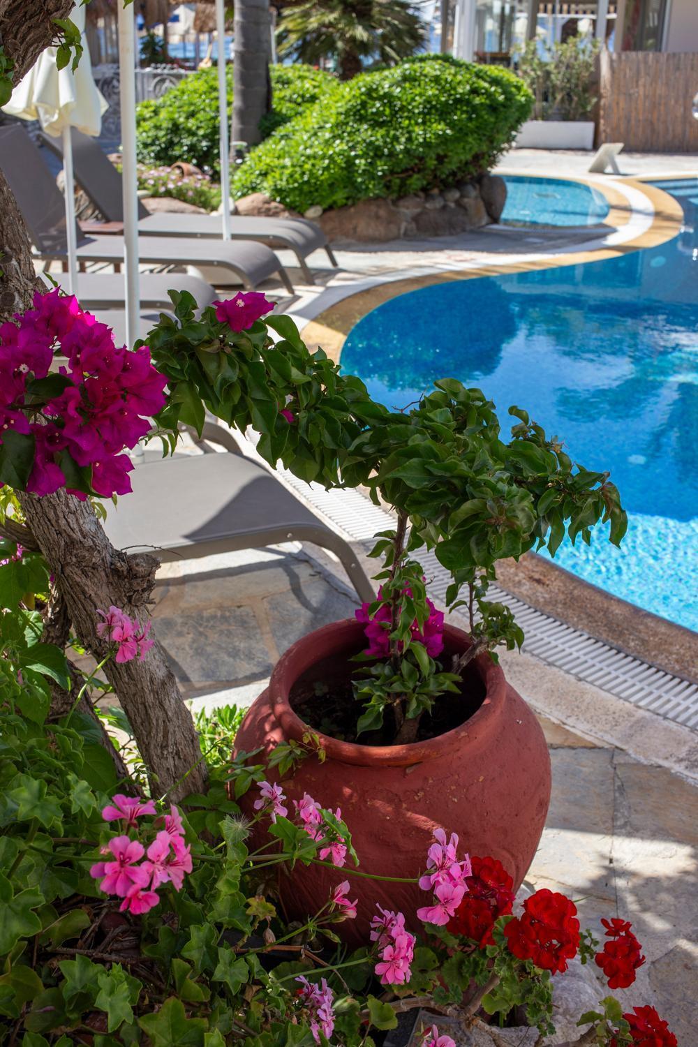 Uzhan Beach Hotel Bitez Extérieur photo