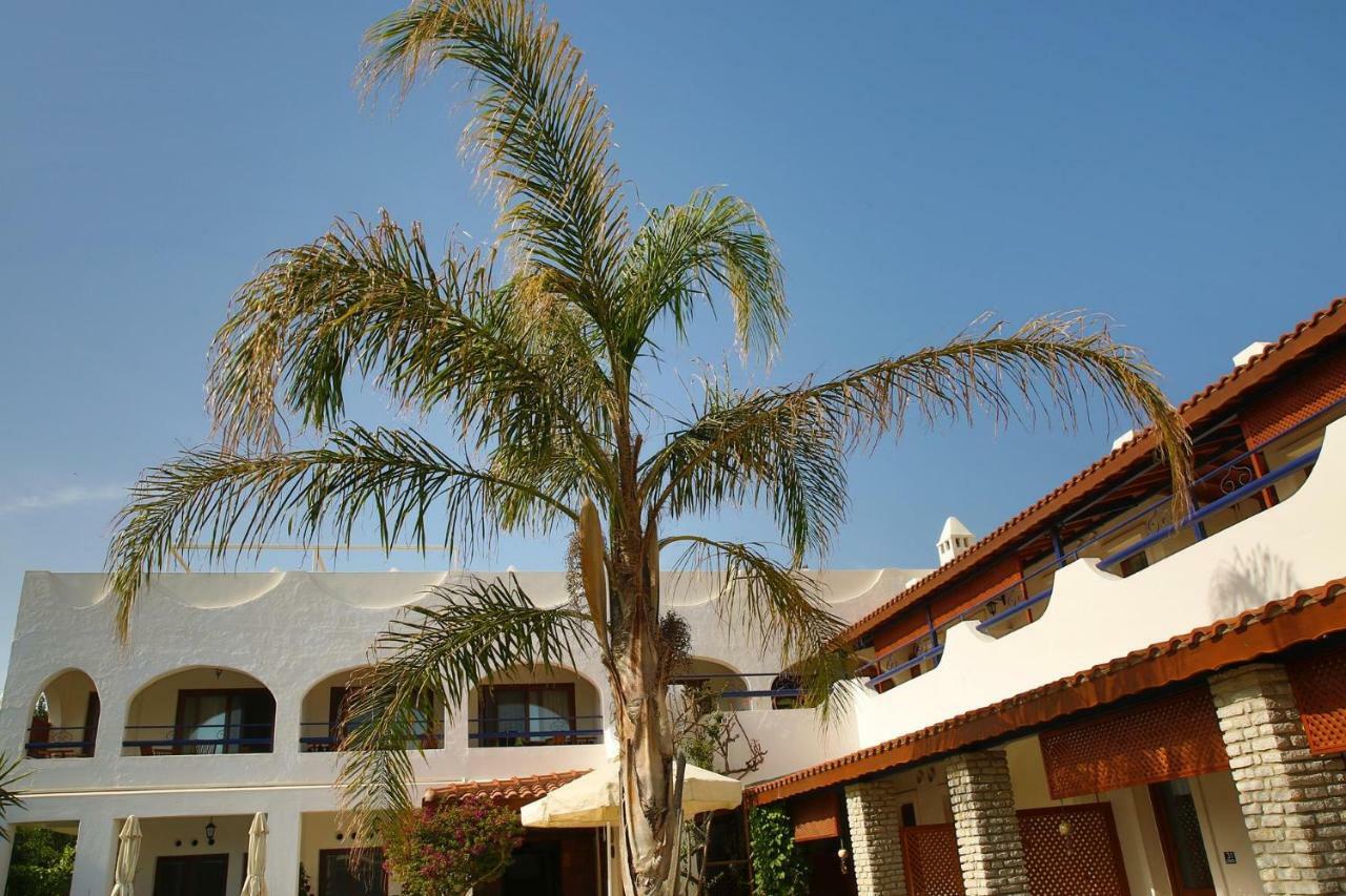 Uzhan Beach Hotel Bitez Extérieur photo